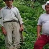 men standing in the jungle