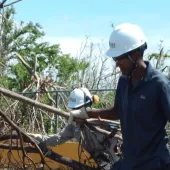 Hurricane Relief Workers