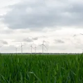  Delta Wind Farm