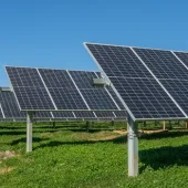 Solar farm panel