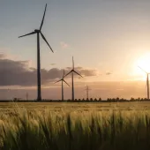 wind_turbines.jpg