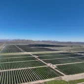 California Project