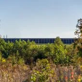 Solar panels for red branch solar.