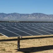 Bellefield Solar + Storage (Solar Panel Hero)