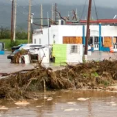 Hurricane damage