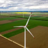 wind farm