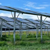 Grafton solar 5