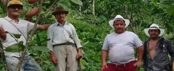 men standing in the jungle