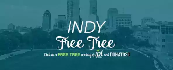 Indy Free Tree Event