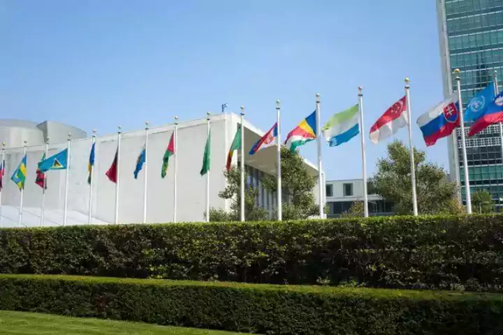 United Nations flags