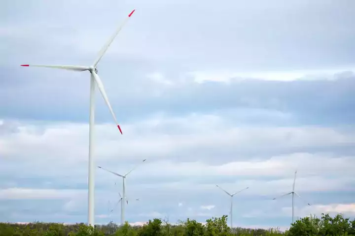 windmill