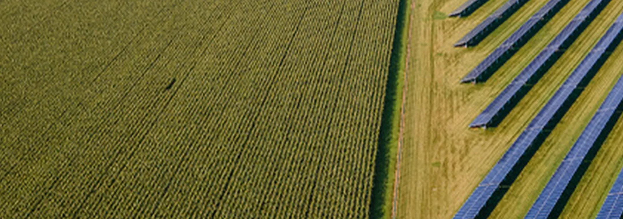 aerial-img