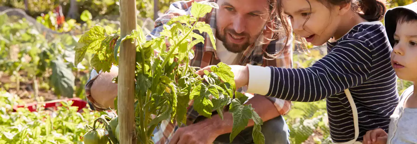 Gardening