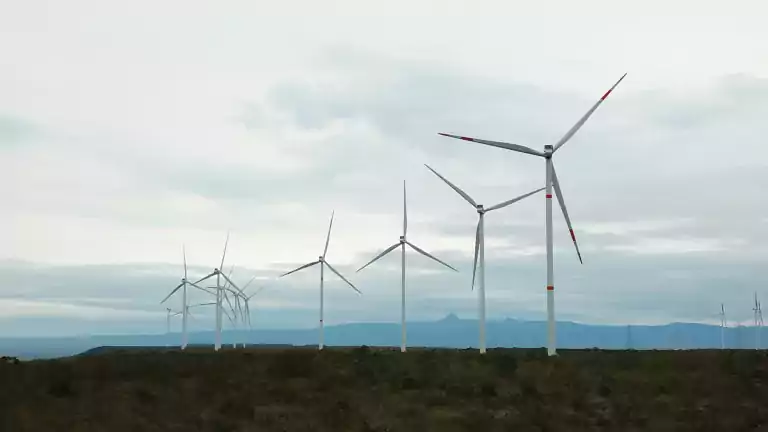 Wind farm