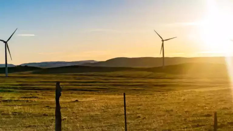 Windmills on the horizon with the late sun.