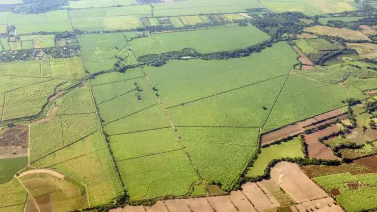 Green farmland from the air.