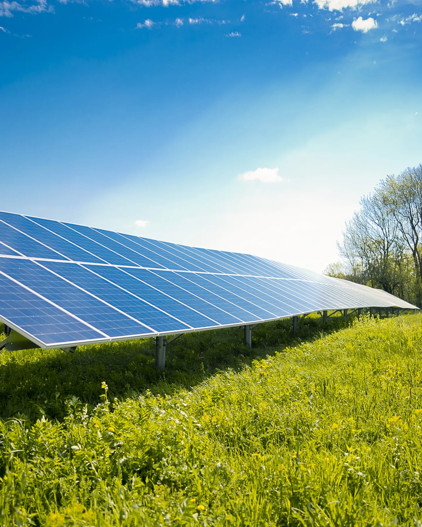 solar panel 2