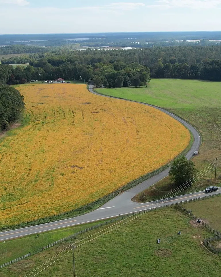 Fitch solar landowner