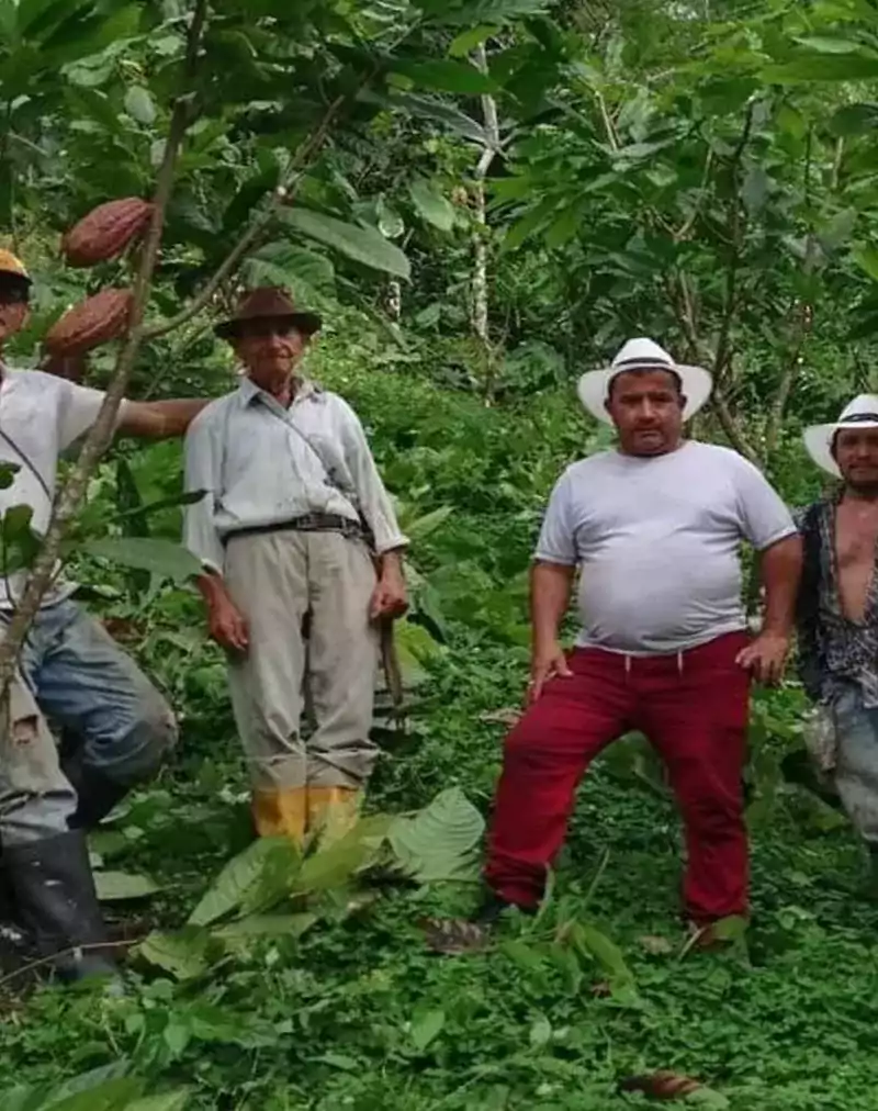 men standing in the jungle