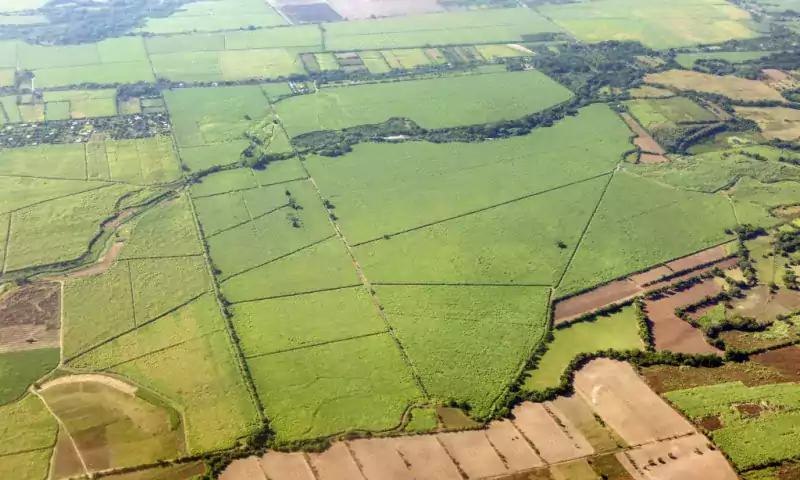 Green farmland from the air.