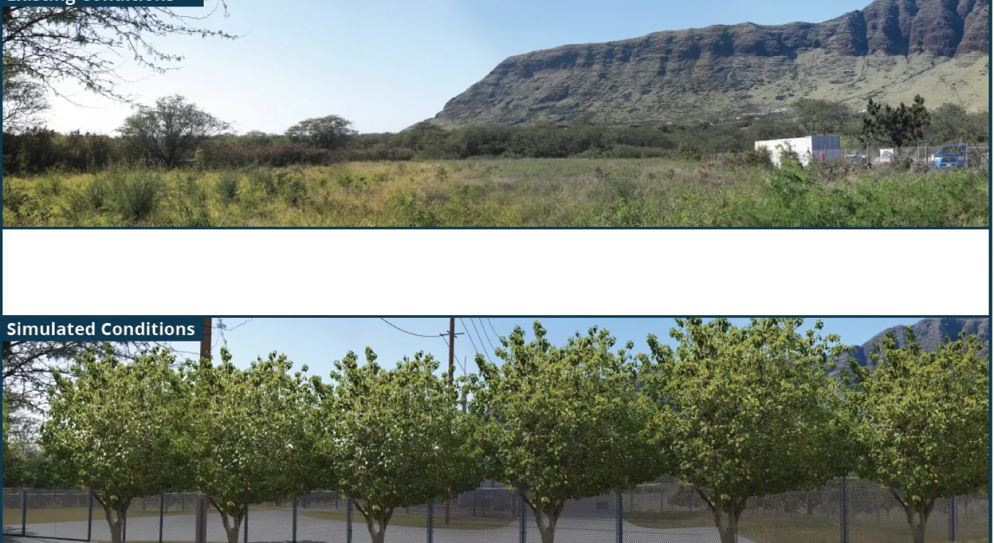 View from Waianae Valley Road of project substation