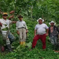 Men standing in a jungle or forest