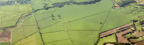 Green farmland from the air