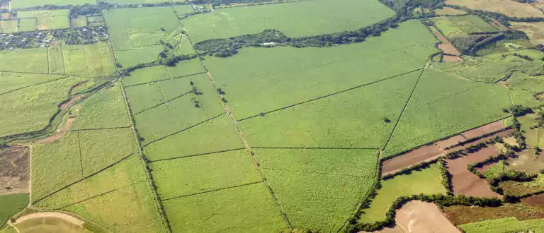 geo - overhead view of fields and terrain