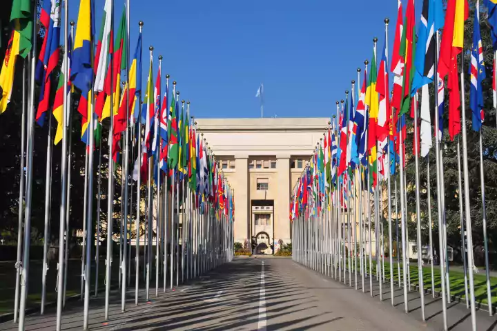 United Nations flags and building