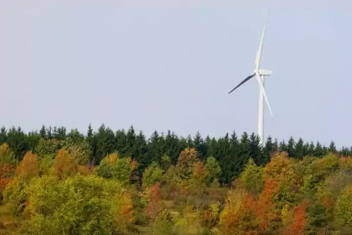 Turbine with foliage