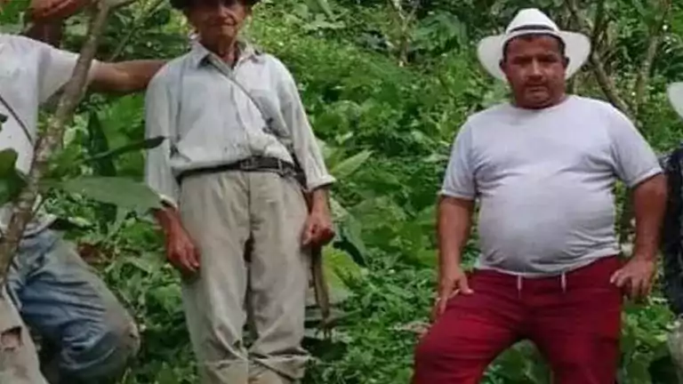 men standing in the jungle