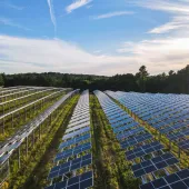 Aerial view of a solar farm with rows of solar panels stretching into the distance, surrounded by trees under a clear blue sky.