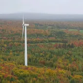 Aerial view of a wind turbine surrounded by a forest with autumn foliage, displaying vibrant shades of green, orange, and red under a cloudy sky.