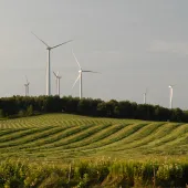 A landscape with several wind turbines on a hill, surrounded by rows of green fields and trees under a cloudy sky.