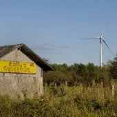 A rustic wooden building with a yellow sign reading 'Bova's Groceries' stands in a grassy field. In the background, a wind turbine rises above a line of trees against a clear blue sky.