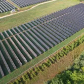 Aerial view of a large solar farm with rows of solar panels on a grassy field, surrounded by trees and a dirt path.