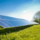 A row of solar panels in a green field under a clear blue sky.