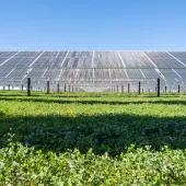 Invitation header photo.jpg