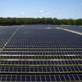 California-Project_0