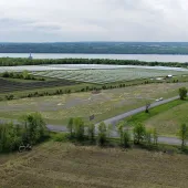 Cayuga-Solar-Hero-Image