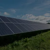A large array of solar panels in a grassy field under a blue sky with scattered clouds.