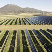 A large solar farm with rows of solar panels in a grassy field, set against a backdrop of rolling hills under a clear blue sky.
