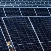 Close-up view of multiple solar panels arranged in rows, capturing sunlight for energy conversion.