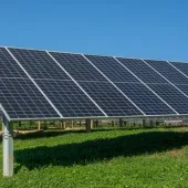 Rows of solar panels in a green field under a clear blue sky.