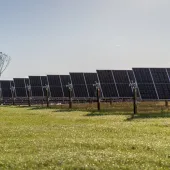 Rows of solar panels in a grassy field under a clear sky, with a few trees in the background.