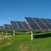 Rows of solar panels on a grassy field under a clear blue sky.
