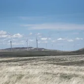 A landscape with several wind turbines on a grassy plain under a blue sky with scattered clouds.