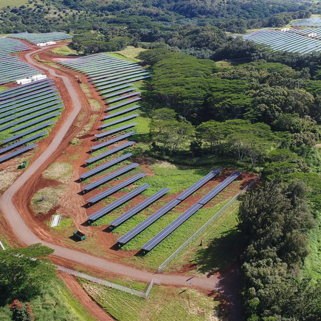 Aerial view of a large solar farm with rows of solar panels on red soil, surrounded by lush green trees and vegetation.