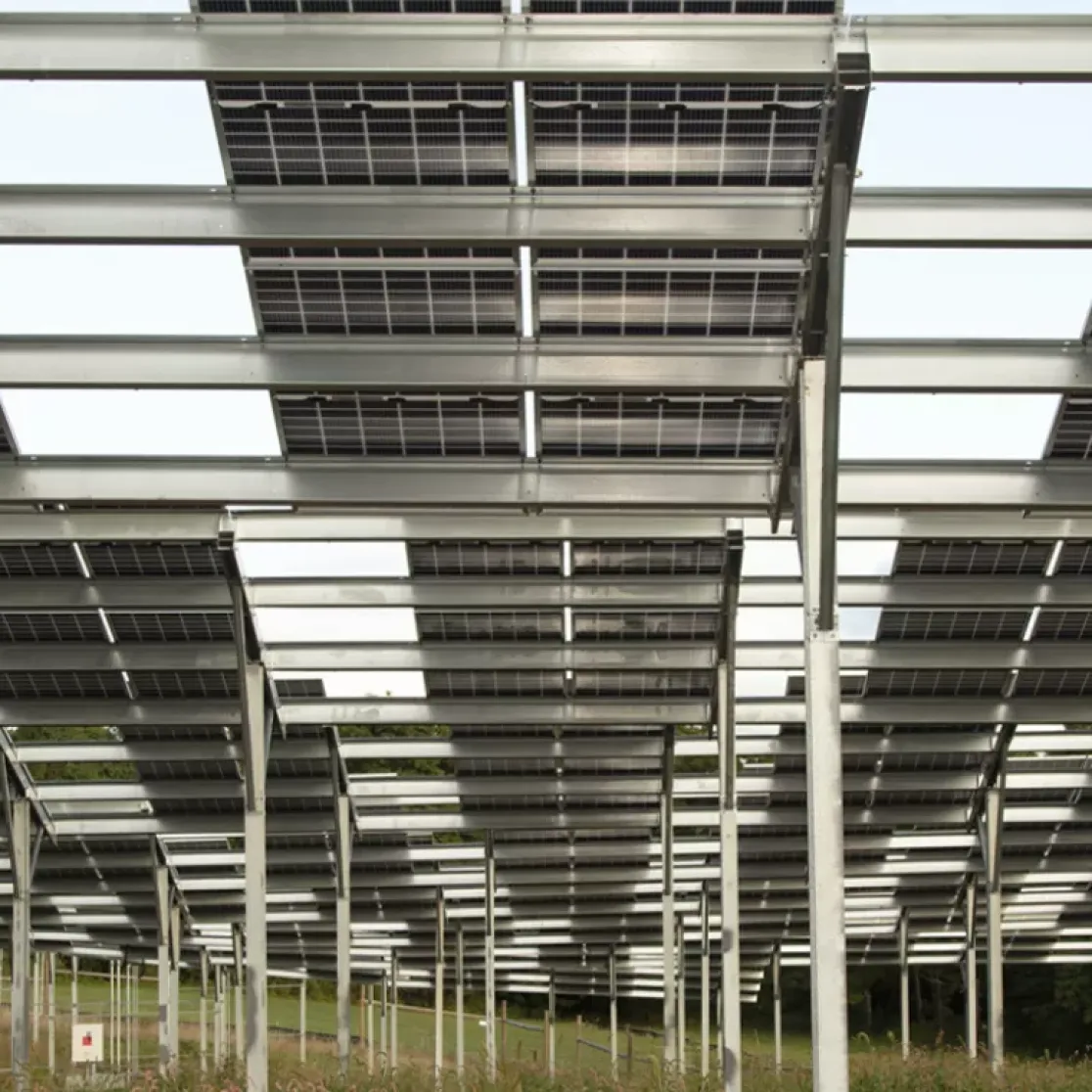 A large array of solar panels mounted on metal frames, elevated above the ground. The panels are arranged in rows, with grassy vegetation visible beneath them. Trees are seen in the background under a clear sky.