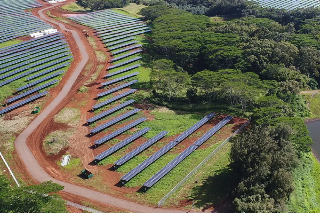 Aerial view of a large solar farm with rows of solar panels on red soil, surrounded by lush green trees and vegetation.